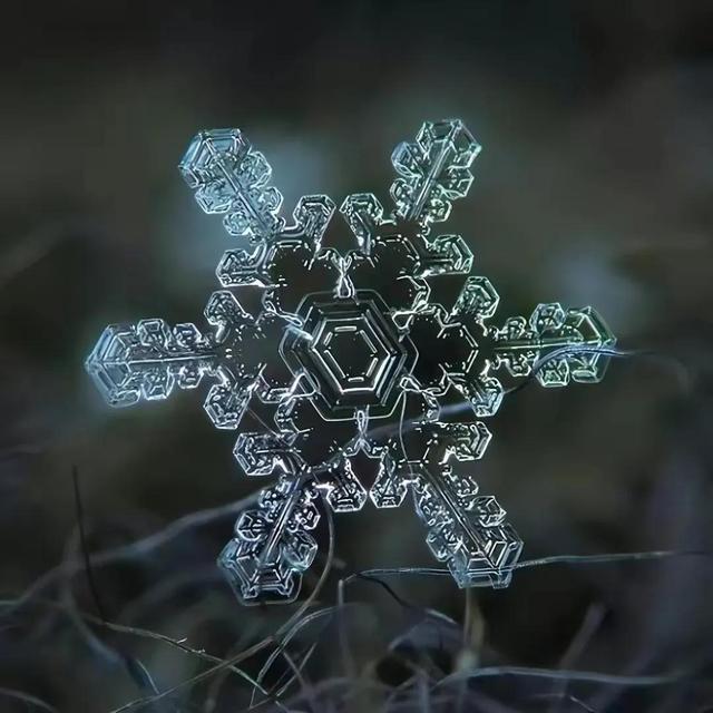 显微镜下的雪花–感受大自然馈赠的美