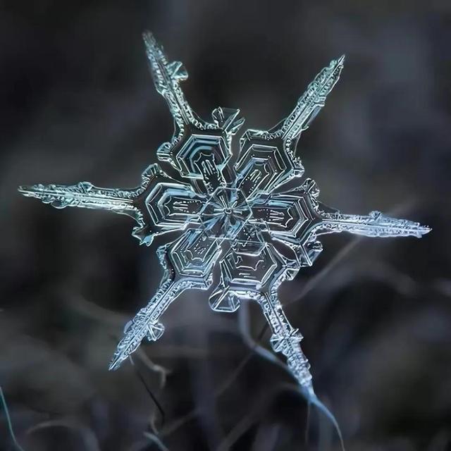 显微镜下的雪花–感受大自然馈赠的美