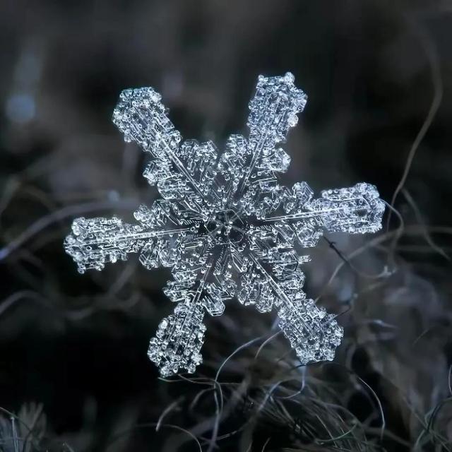 显微镜下的雪花–感受大自然馈赠的美