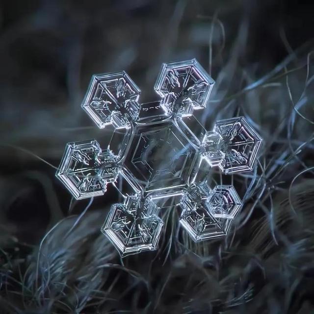 显微镜下的雪花–感受大自然馈赠的美