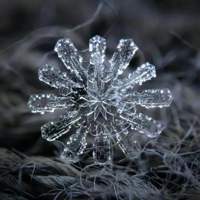 显微镜下的雪花–感受大自然馈赠的美