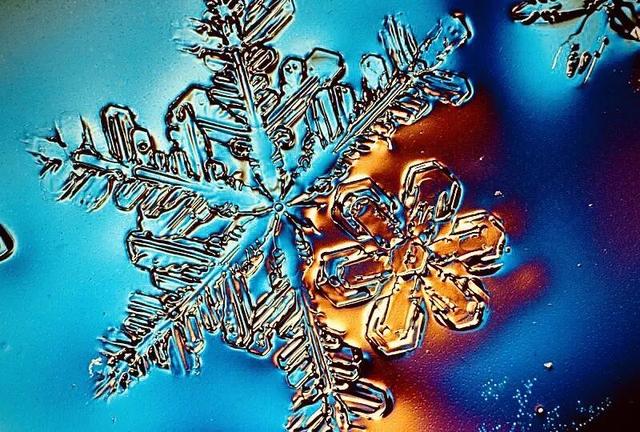 显微镜下的雪花–感受大自然馈赠的美