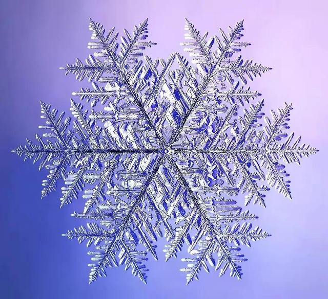 显微镜下的雪花–感受大自然馈赠的美