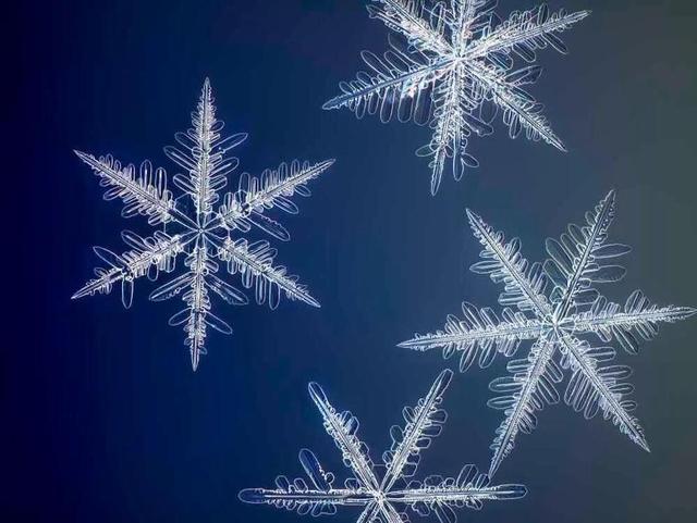 显微镜下的雪花–感受大自然馈赠的美