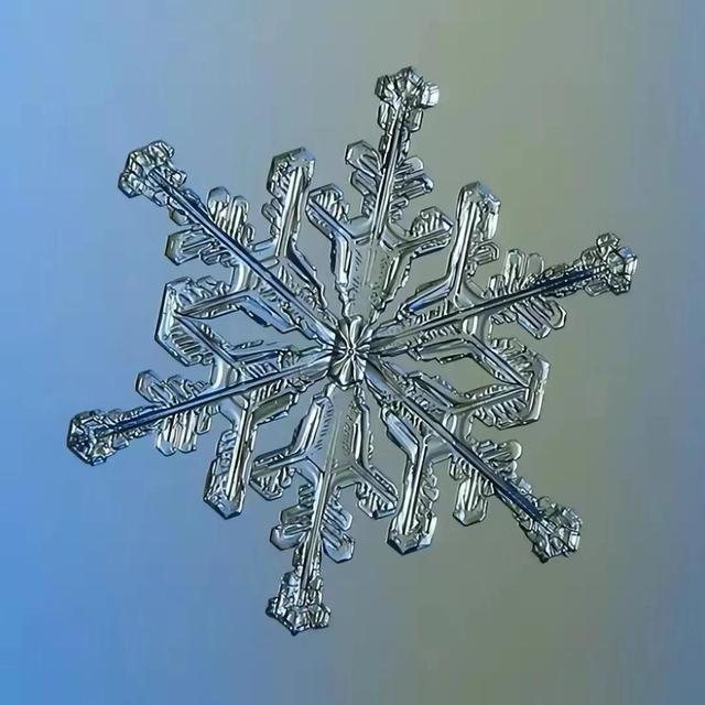 显微镜下的雪花–感受大自然馈赠的美