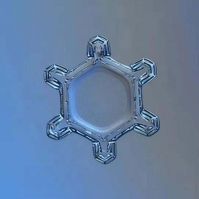 显微镜下的雪花–感受大自然馈赠的美