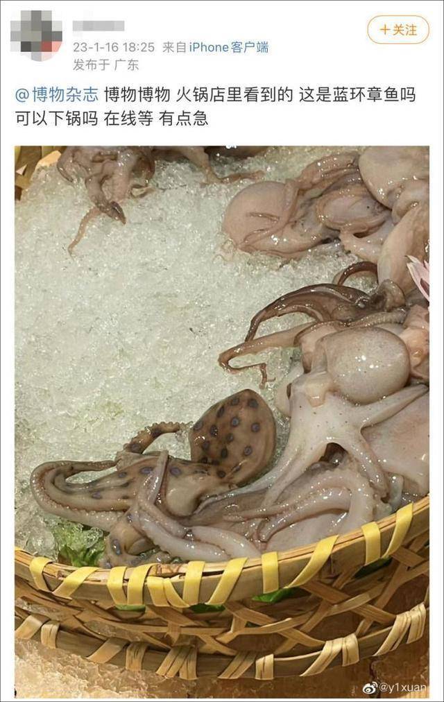 zWbPuPiD8UquBZ88.jpg