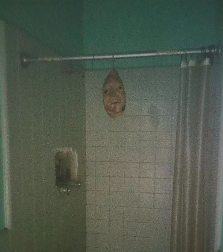 15255317548697864c9dd73