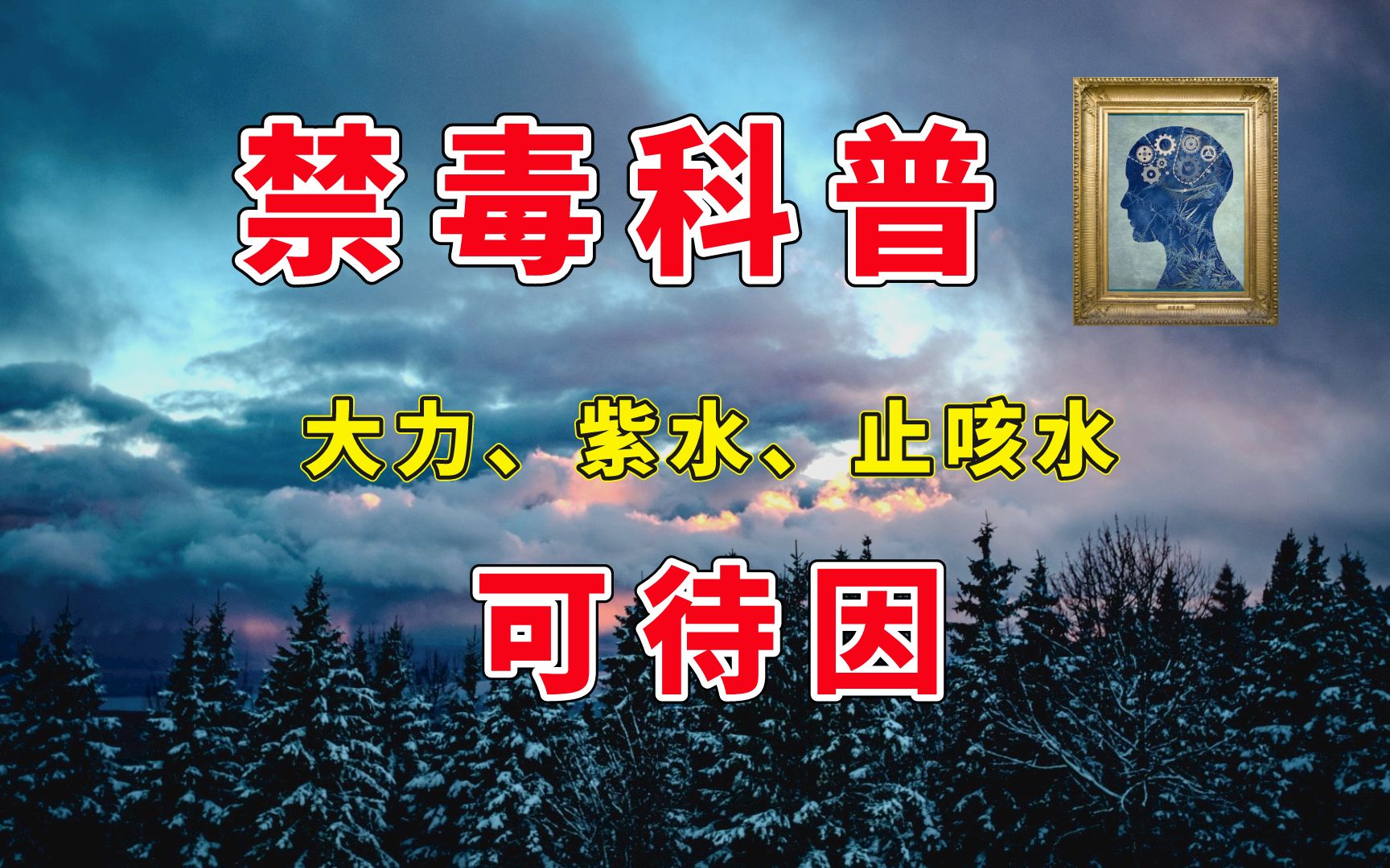 1-【禁毒科普】可待因：大力、紫水、止咳水-480P 标清-AVC.Cover.jpg