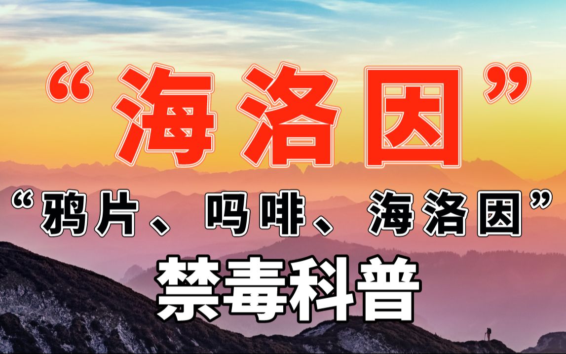 1-毒品【海洛因】：脑内化学原理【禁毒-脑科学-垂直科普 】林则徐（2）-480P 标清-AVC.jpg