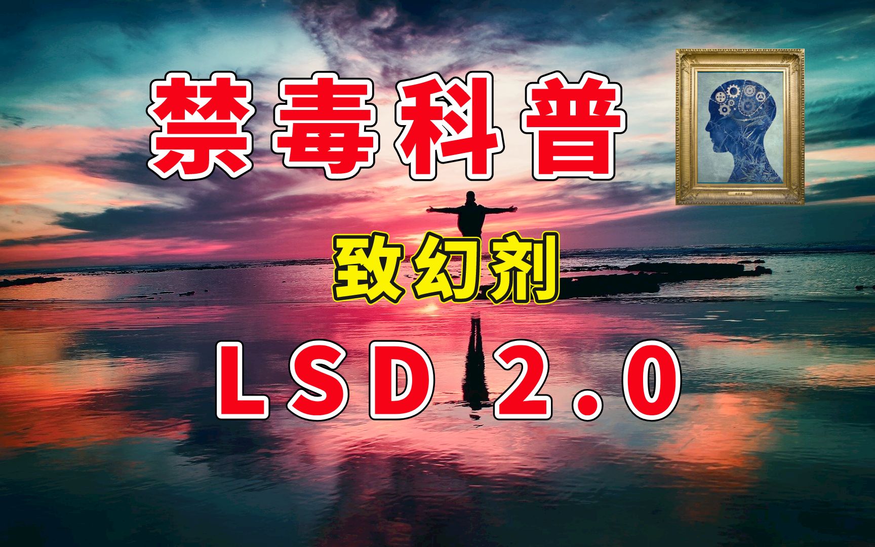1-【禁毒科普】新型毒品：致幻剂 LSD 2.0 （STP DOM与嬉皮士）-480P 标清-AVC.Cover.j.jpg