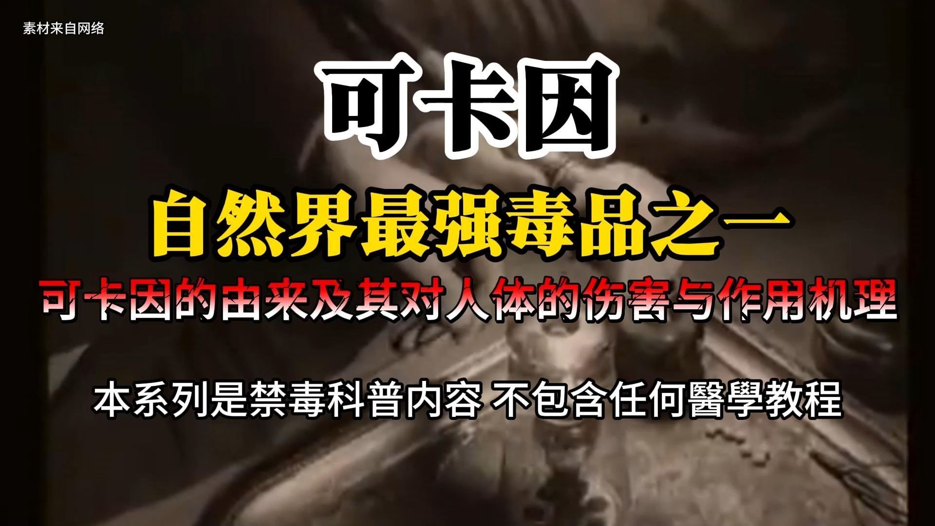 1-可卡因的真相：起源、危害与机理大揭秘-480P 标清-AVC.Cover.jpg