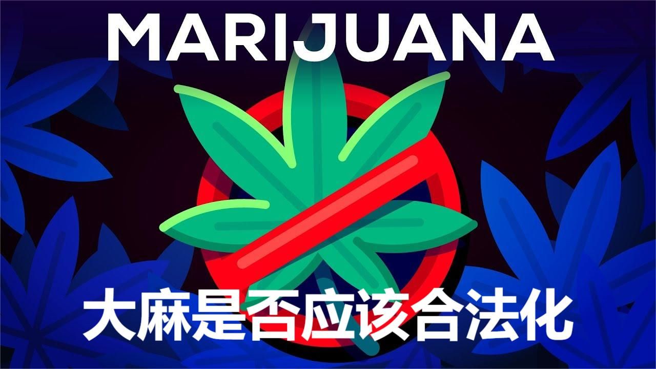 1-Kurzgesagt科普-【中英字幕】大麻是否应该合法化？-480P 标清-AVC.Cover.jpg.jpg