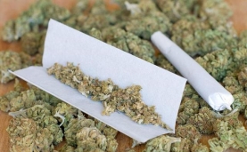 在国外的大麻竟然如此泛滥！（大麻主题城市、世界大麻日）