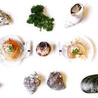 关于各种贝类的名字、区别、产地、吃法