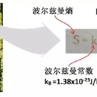 熵：名字古怪性乖张