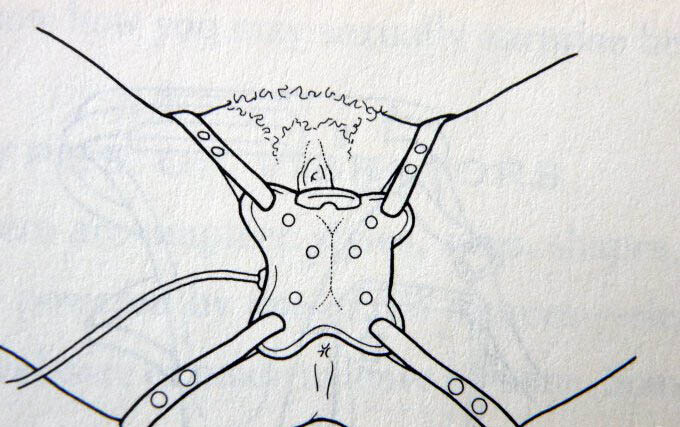 SM用具和相关知识科普