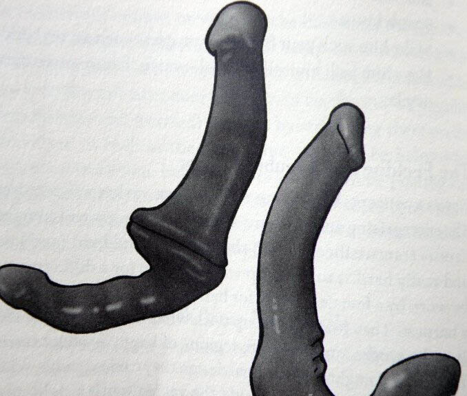 SM用具和相关知识科普