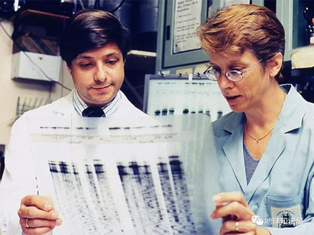 大流感，只是变弱了