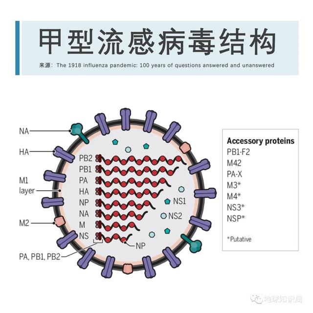 大流感，只是变弱了