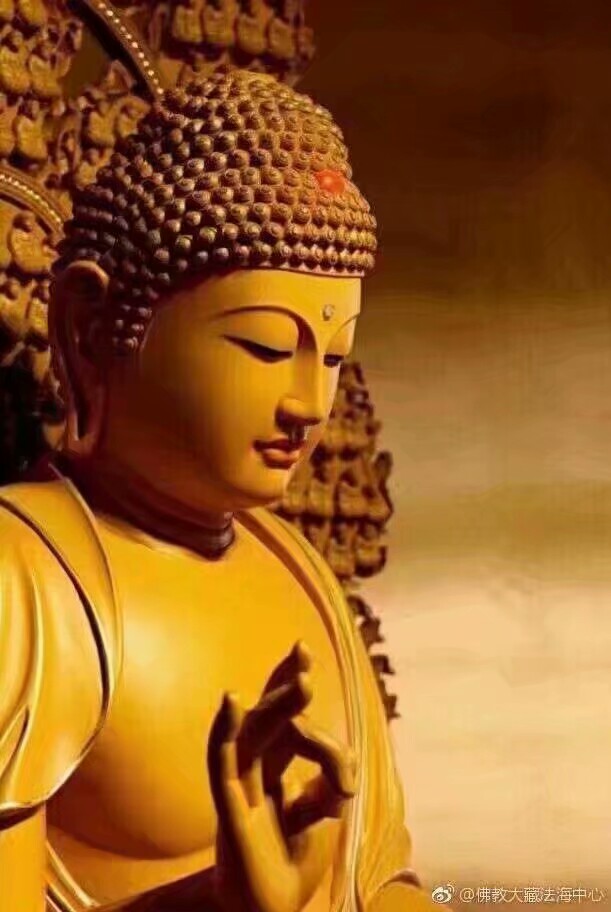 15237805403584dee1df9b8