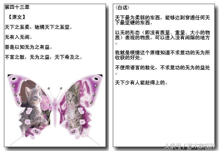 1523441653366d0a61dad49