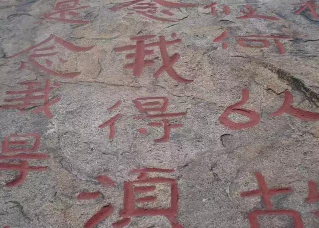 31ba000192f28245b220