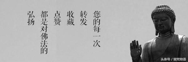 2a460001b5167aa3ee20