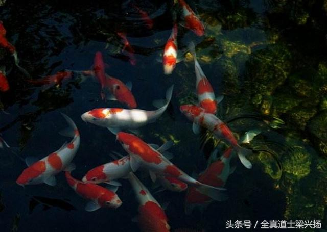 213a00054ce461450f05