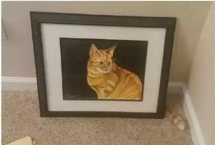 1540286999691d1a4938a7c