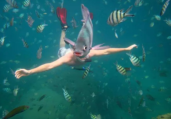 1527144787530a0fc0456f0