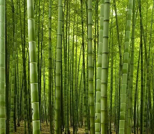 26f20003d46458a037fb