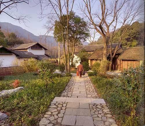 288800018ec8650d72c8