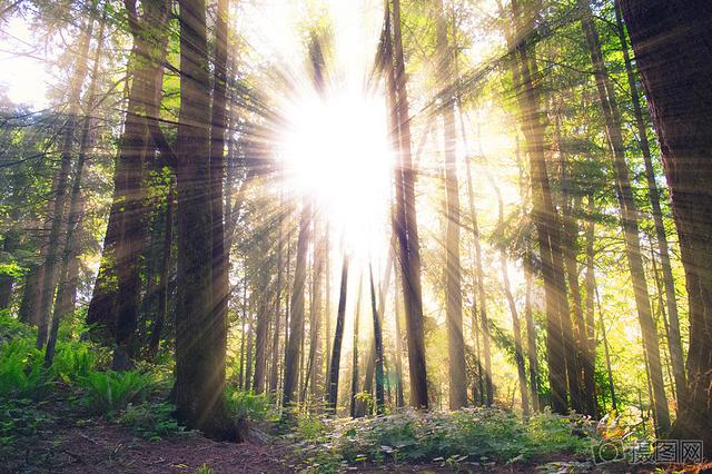 1f7c0002ba59911ccf5b