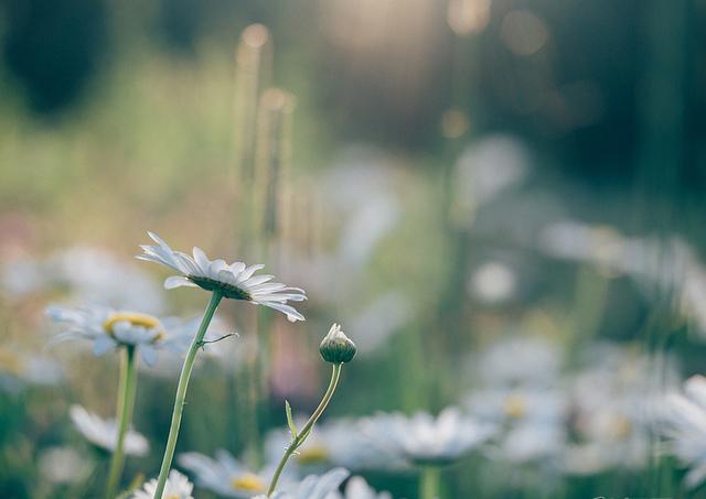 1f820002aeae9d624ec6