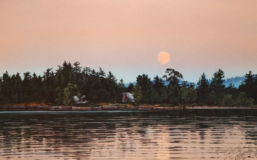 152186304001634936c2197