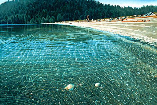 1521863042802161a113e65