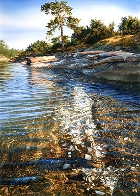 1521863042989caad38cda7