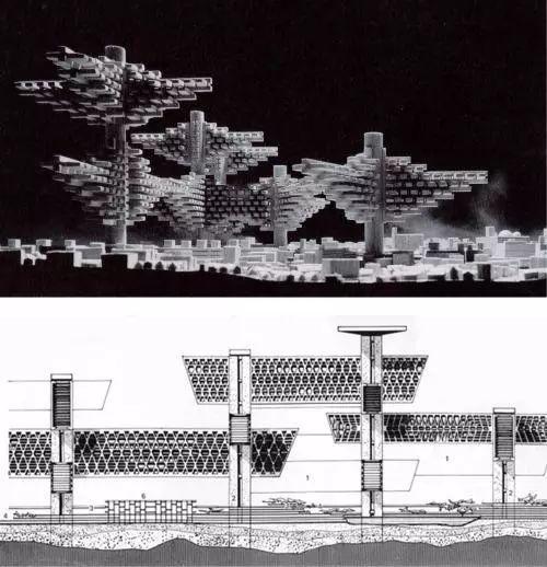 78880006d74e9b51194e