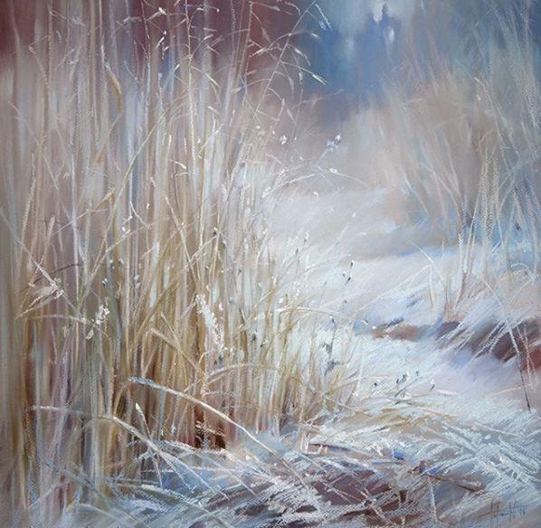 53e50004ad0348de13ee