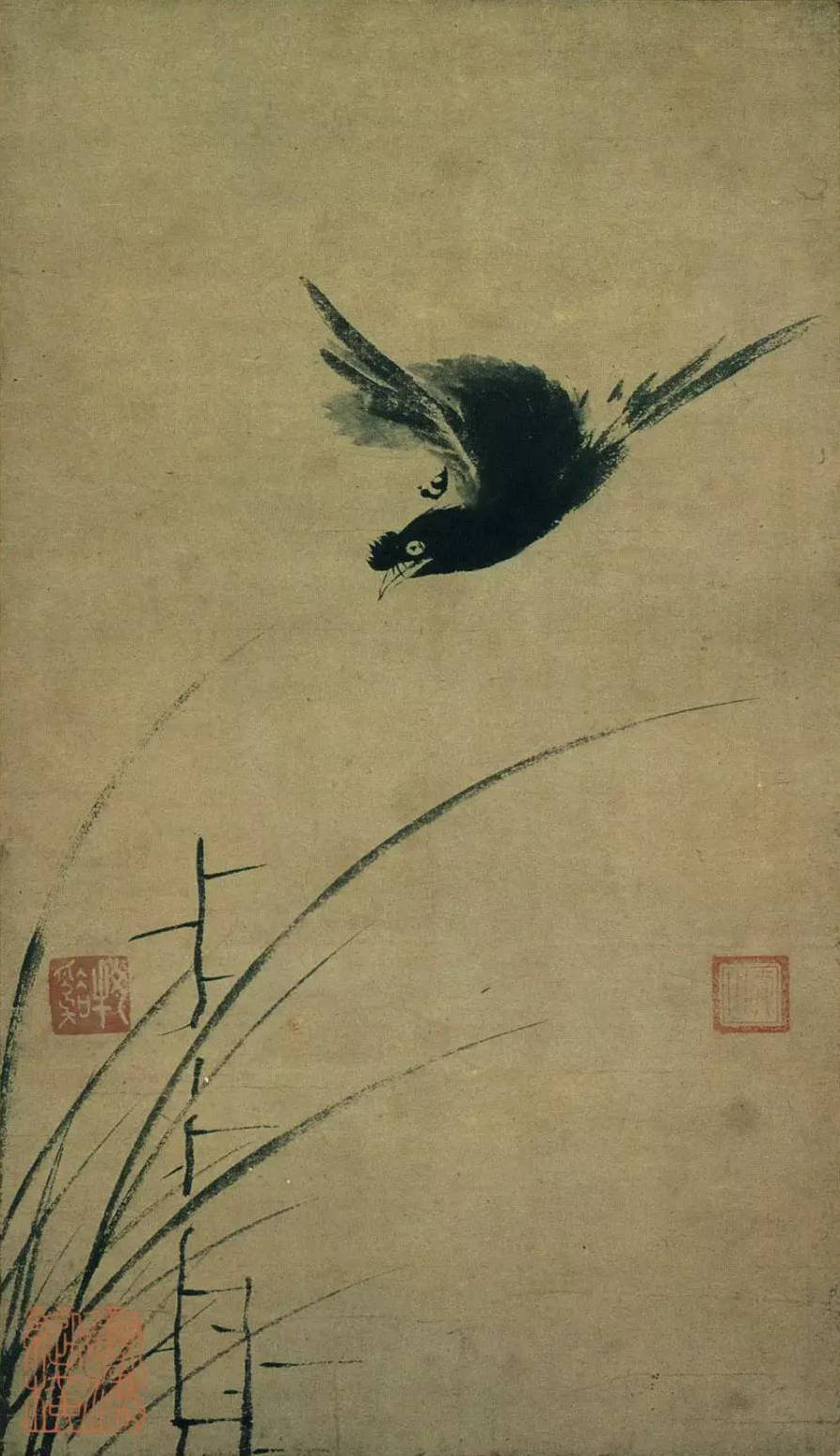 152564376867897075c9dcc