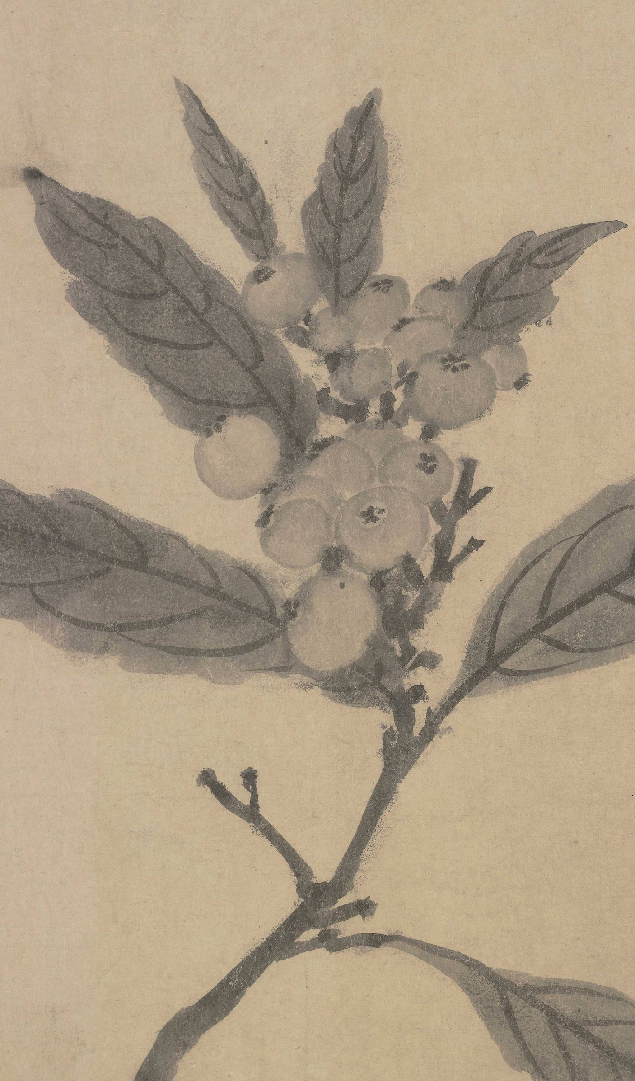 152564377675646f50e91f2