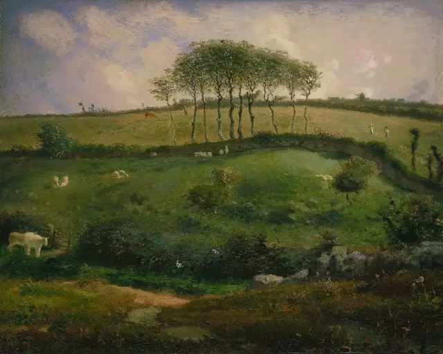 15264765004995ccf53df13