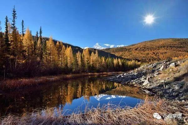 1521338640314c08b6dbc91