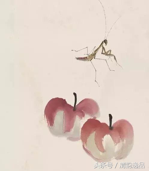 152732432336373f2ce497f