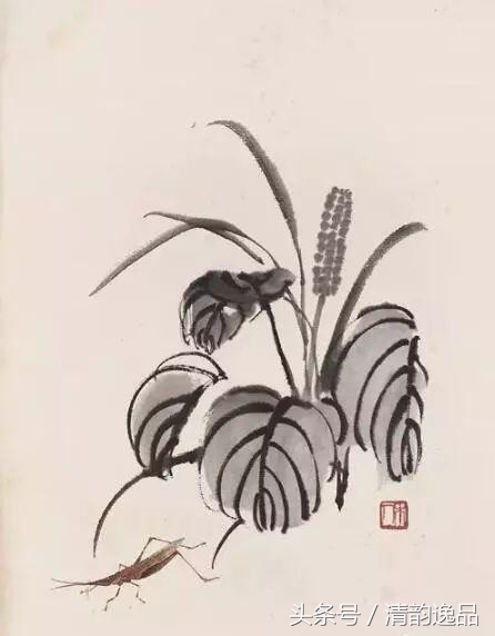 15273243255454badaaad16