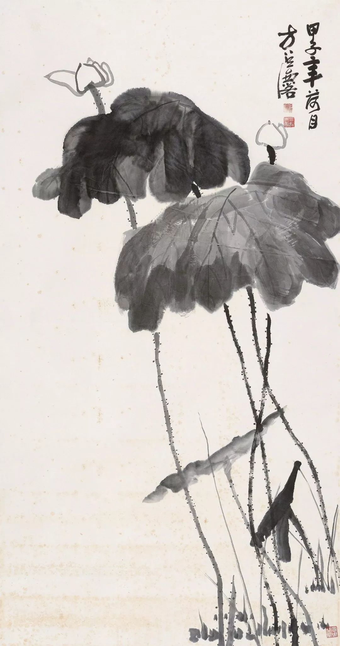 1525488375318e718b8e5ed