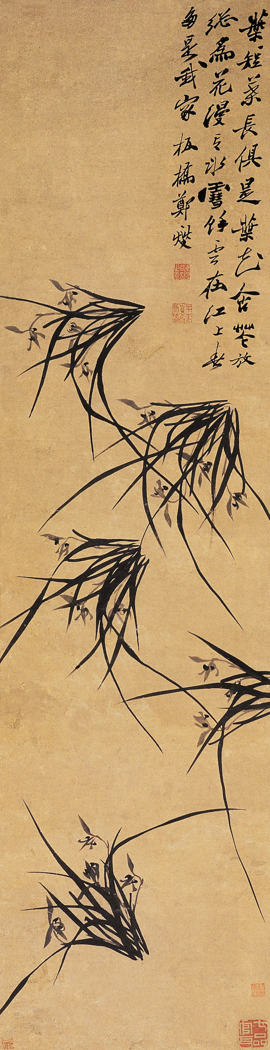 15303566498937733a5a401