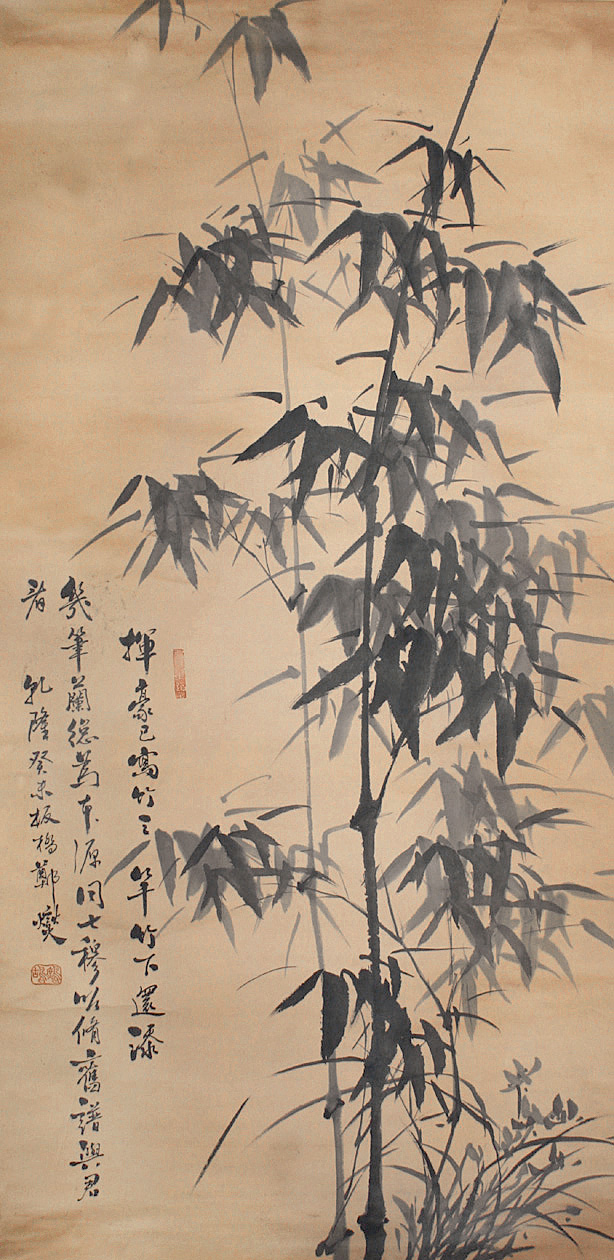 15303566751869bbd48d8a3