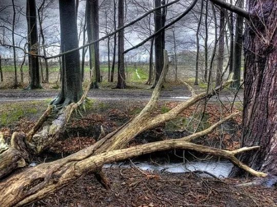 1525999008994028dd1c2a8